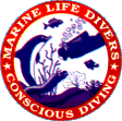 Marine Life Divers